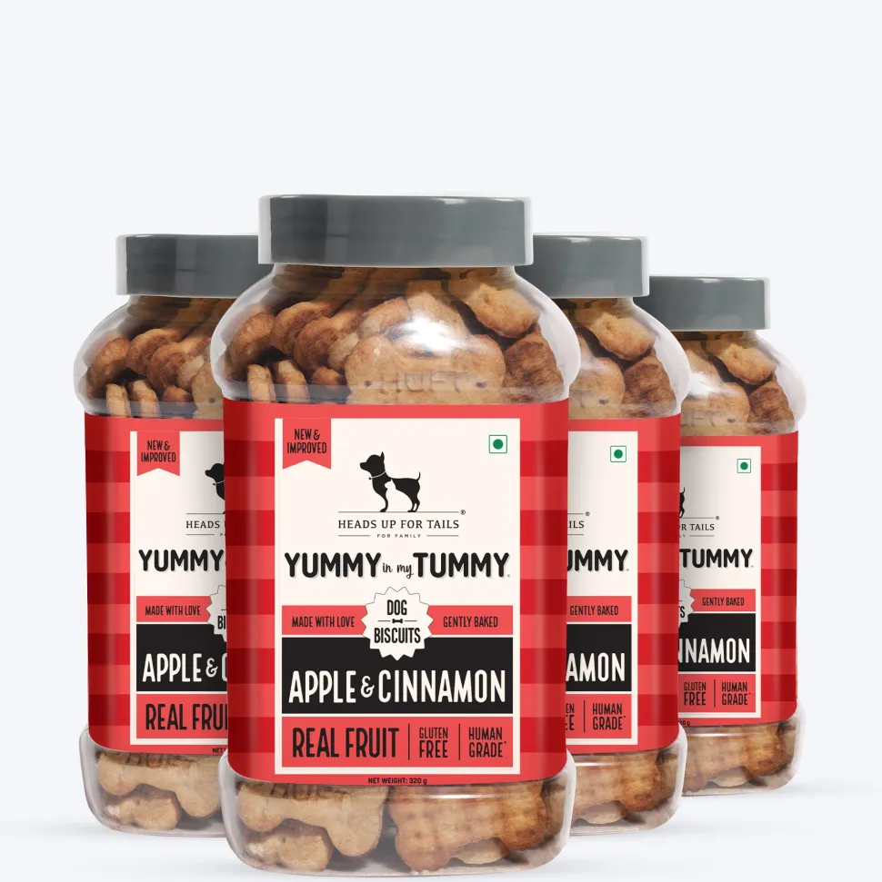 HUFT Yummy In My Tummy Apple & Cinnamon Vegetarian Gluten Free Dog Biscuit