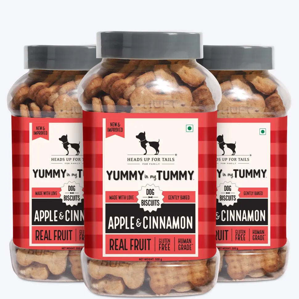 HUFT Yummy In My Tummy Apple & Cinnamon Vegetarian Gluten Free Dog Biscuit
