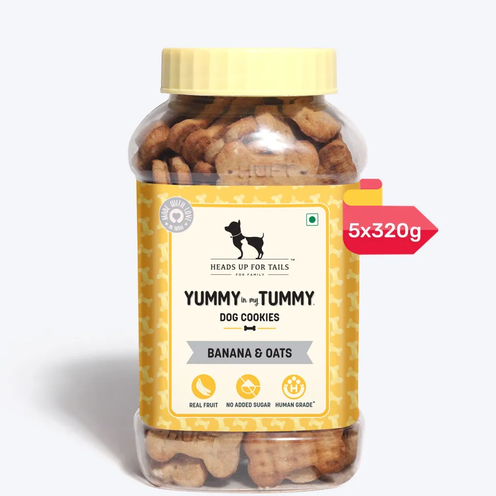 HUFT Yummy In My Tummy Banana & Oats Vegetarian Dog Biscuits - 800 gm