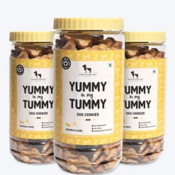 HUFT Yummy In My Tummy Banana & Oats Vegetarian Dog Biscuits - 800 gm