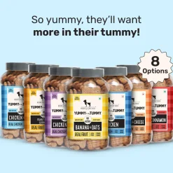 HUFT Yummy In My Tummy Chicken & Oats Gluten-Free Biscuits