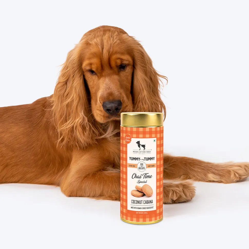 HUFT Yummy In My Tummy Coconut Cabana Dog Biscuits 200g