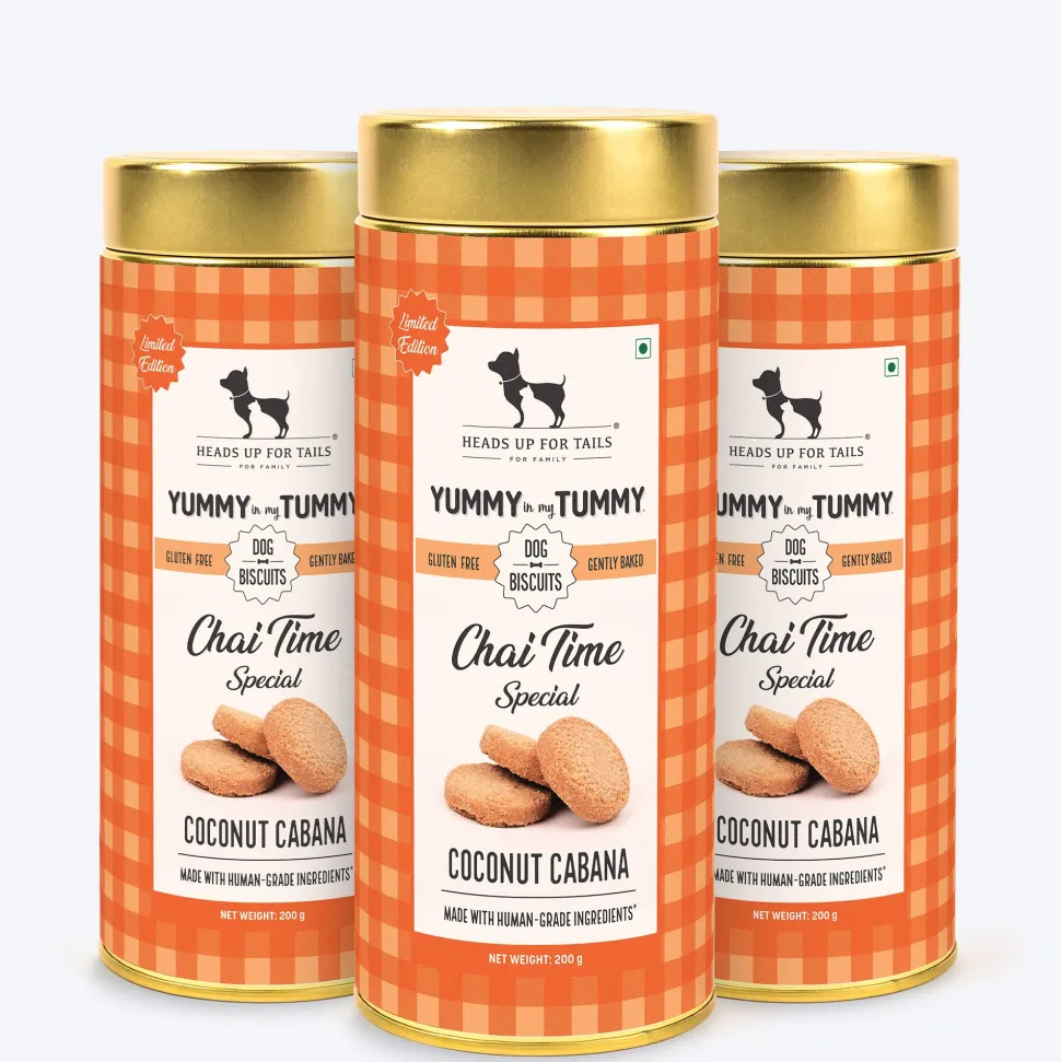 HUFT Yummy In My Tummy Coconut Cabana Dog Biscuits 200g