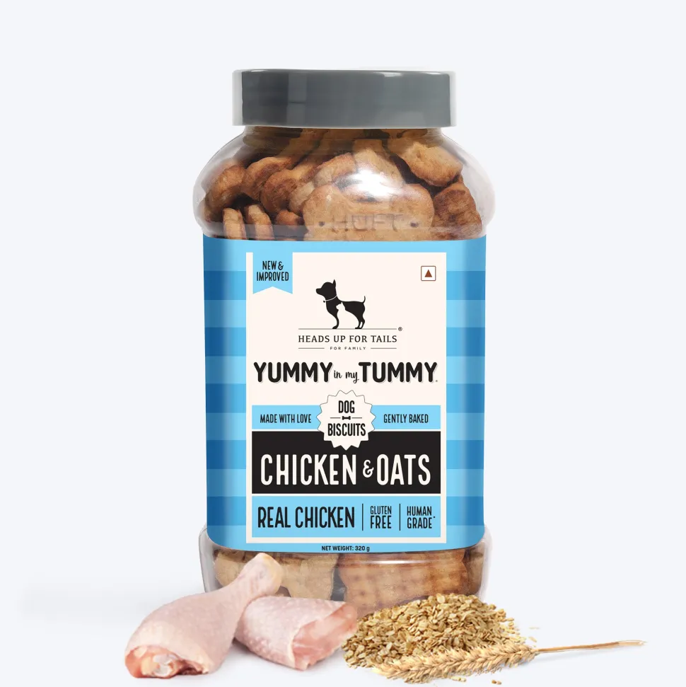HUFT Yummy In My Tummy Gluten Free Chicken Dog Biscuits Combo - 320 g Each