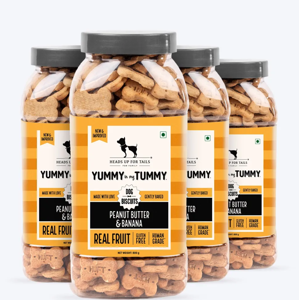 HUFT Yummy In My Tummy Peanut Butter & Banana Biscuits
