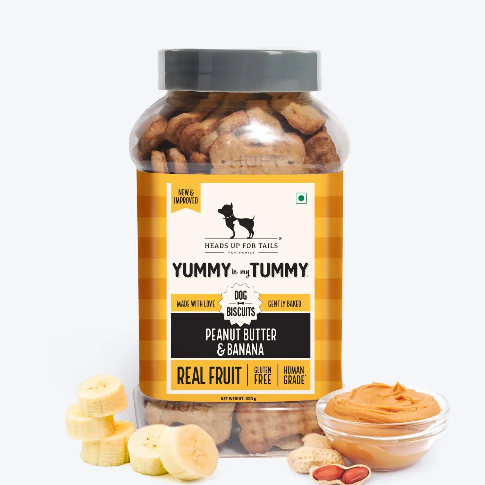 HUFT Yummy In My Tummy Peanut Butter & Banana Biscuits