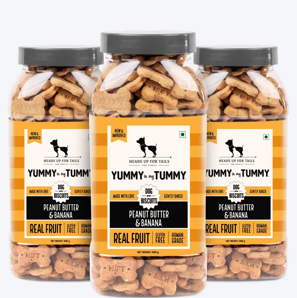 HUFT Yummy In My Tummy Peanut Butter & Banana Biscuits