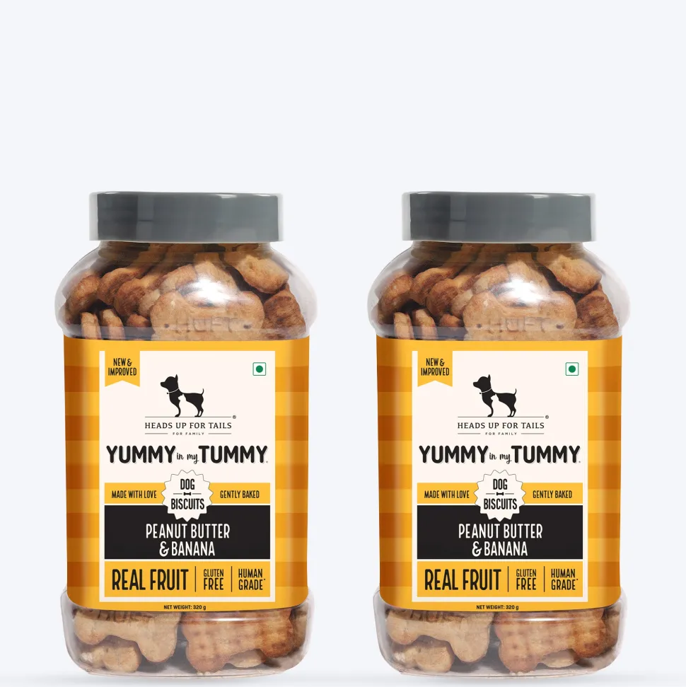 HUFT Yummy In My Tummy Peanut Butter & Banana Biscuits