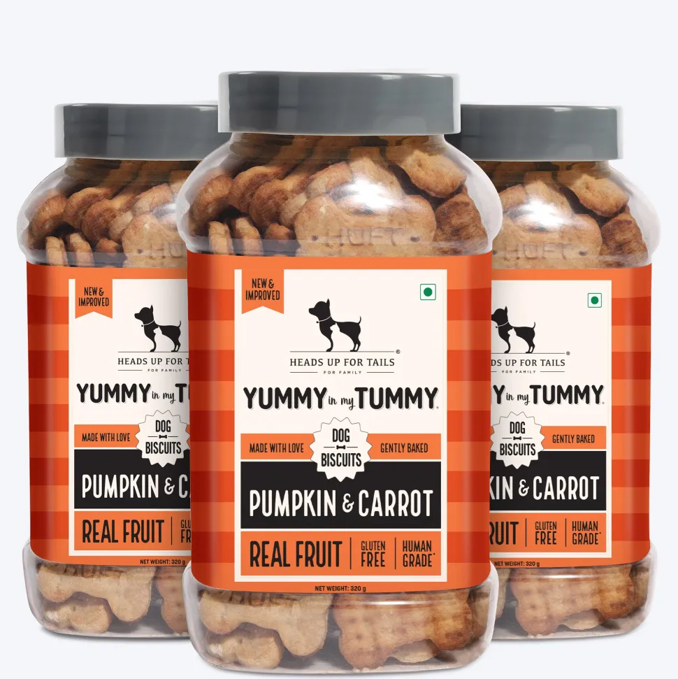HUFT Yummy In My Tummy Pumpkin & Carrot Veggie Biscuits