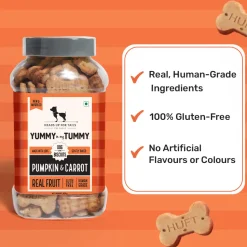 HUFT Yummy In My Tummy Pumpkin & Carrot Veggie Biscuits