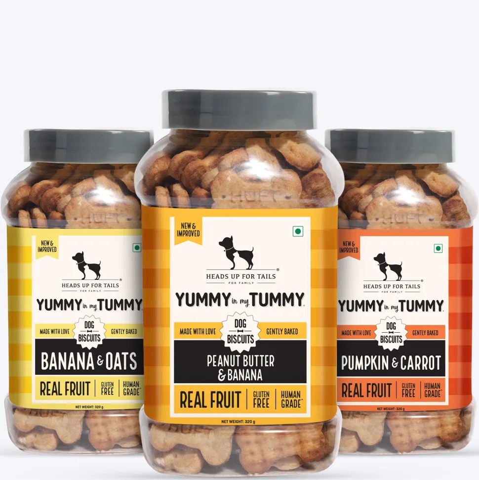 HUFT Yummy In My Tummy Vegetarian Gluten Free Dog Biscuits Combo - Pumpkin & Carrots, Peanut Butter & Banana, Banana & Oats - Pack of 3 (320 gm x 3)