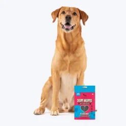 HUFT Yum Nums Dog Treats Soft & Chewy Sticks Blueberry With Real Chicken - 70 gm