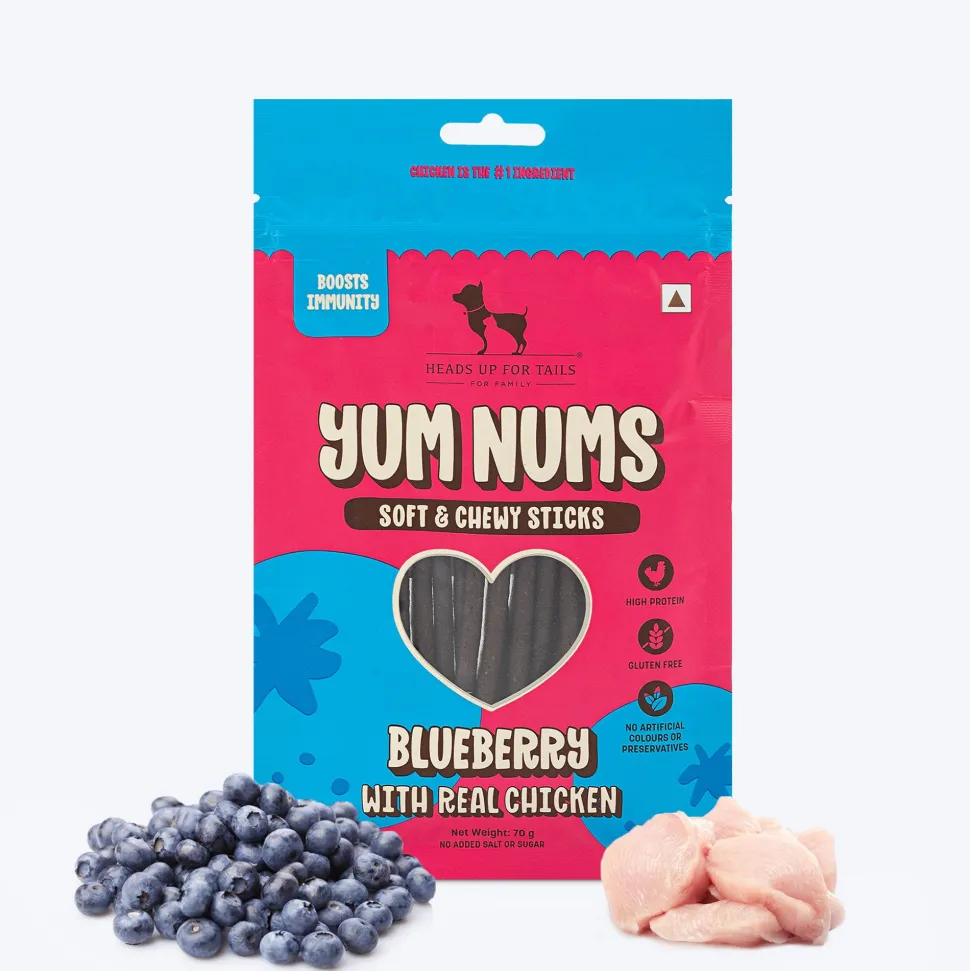HUFT Yum Nums Dog Treats Soft & Chewy Sticks Blueberry With Real Chicken - 70 gm