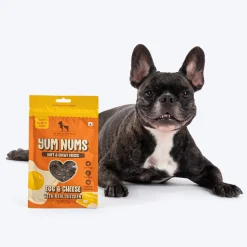HUFT Yum Nums Soft & Chewy Pieces Egg & Cheese With Real Chicken Treat For Dogs
