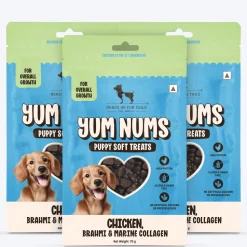 HUFT Yum Nums Soft & Chewy Puppy Treats - Chicken, Brahmi & Marine Collagen- 70 gm