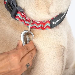 HUFT Zig Zag Galaxy Leash For Dog - Red
