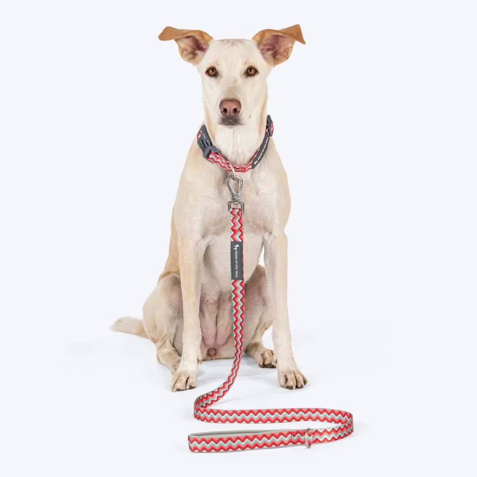 HUFT Zig Zag Galaxy Leash For Dog - Red
