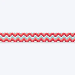 HUFT Zig Zag Galaxy Leash For Dog - Red