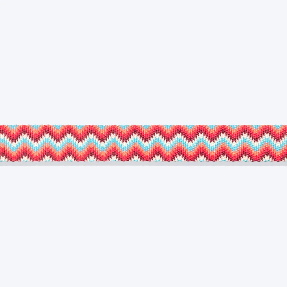 HUFT Zig Zag Galaxy Leash For Dog - Red