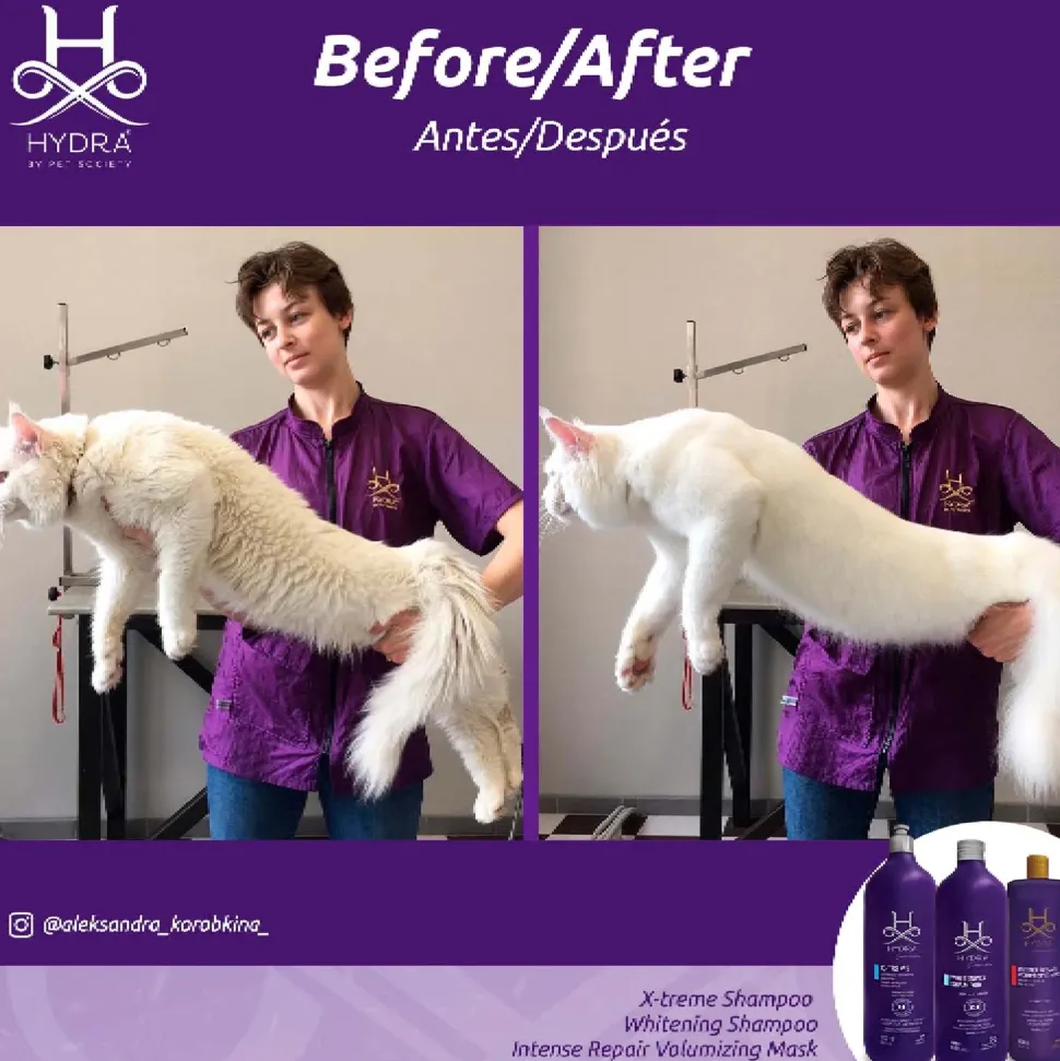 Hydra Groomers Whitening Shampoo For Dog & Cat - 1 Ltr