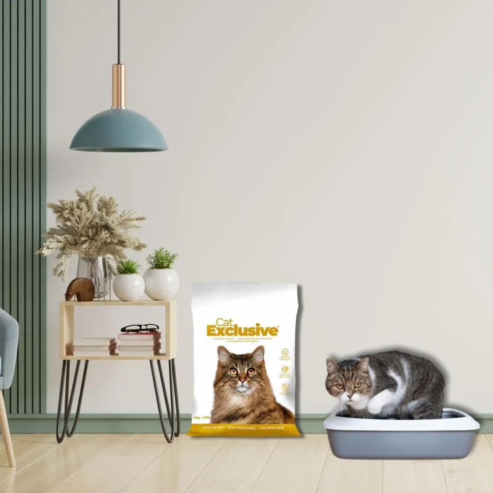 Intersand Cat Exclusive Scoopable Clumping Cat Litter - 10 kg