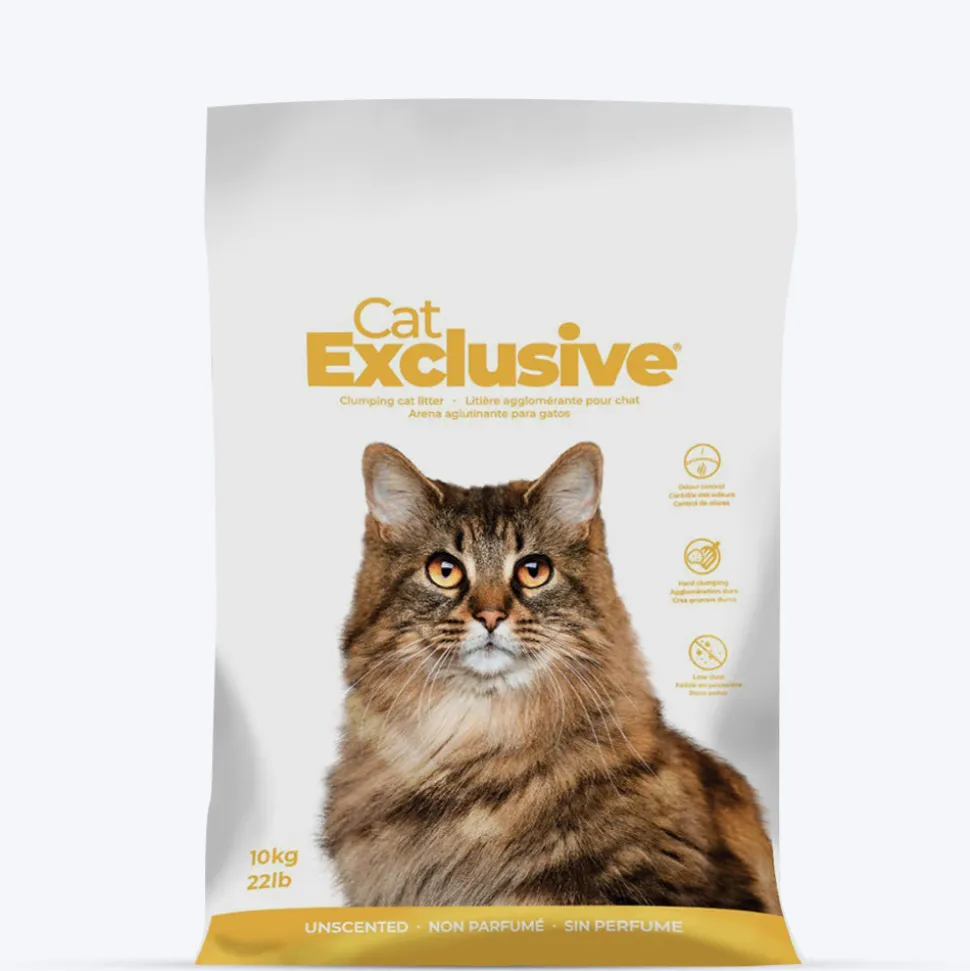 Intersand Cat Exclusive Scoopable Clumping Cat Litter - 10 kg