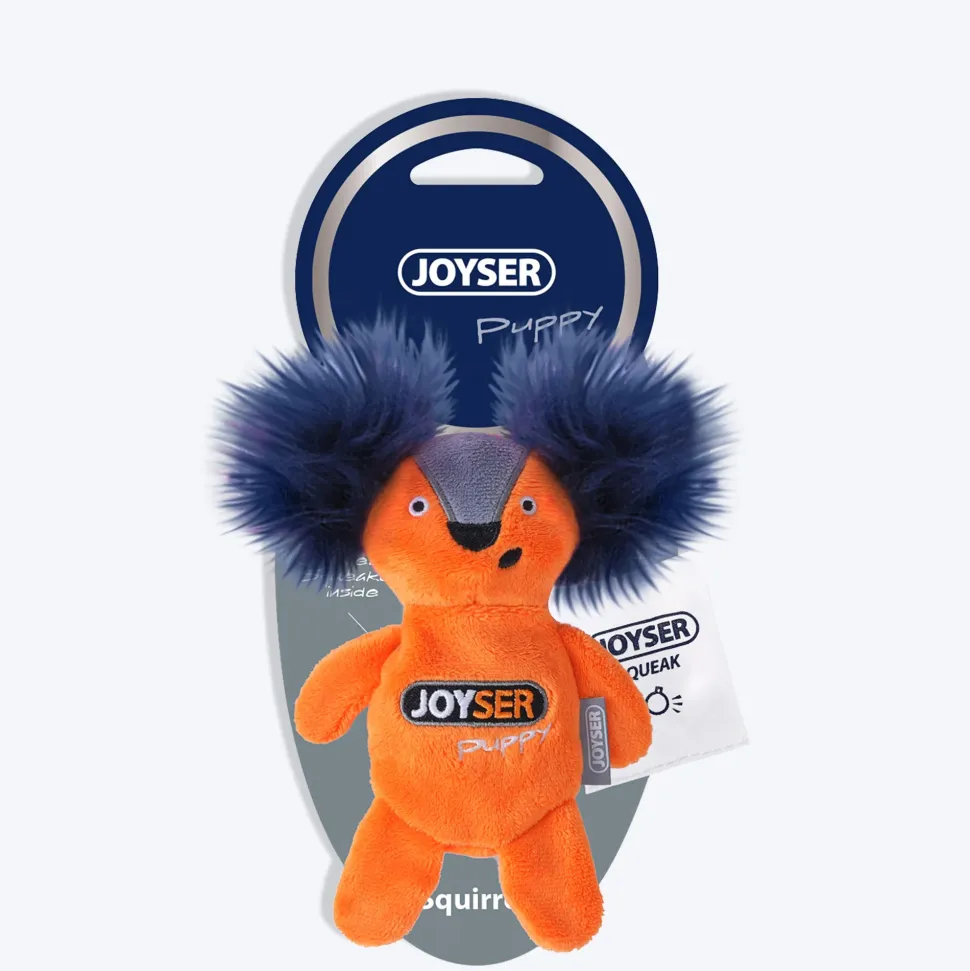 JOYSER Koala With Replaceable Squeaker Chew Toy For Puppy - S/M
