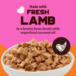 Kennel Kitchen (All Breeds & Ages) Lamb Chunks in Gravy Wet Dog Food - 80 g Packs