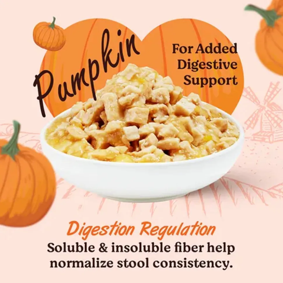 Kennel Kitchen Fish with Pumpkin Supreme Cuts In Gravy Wet Dog Food - 130 g Packs