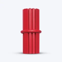 KONG Dental Chew Stick Dog Chew Toy