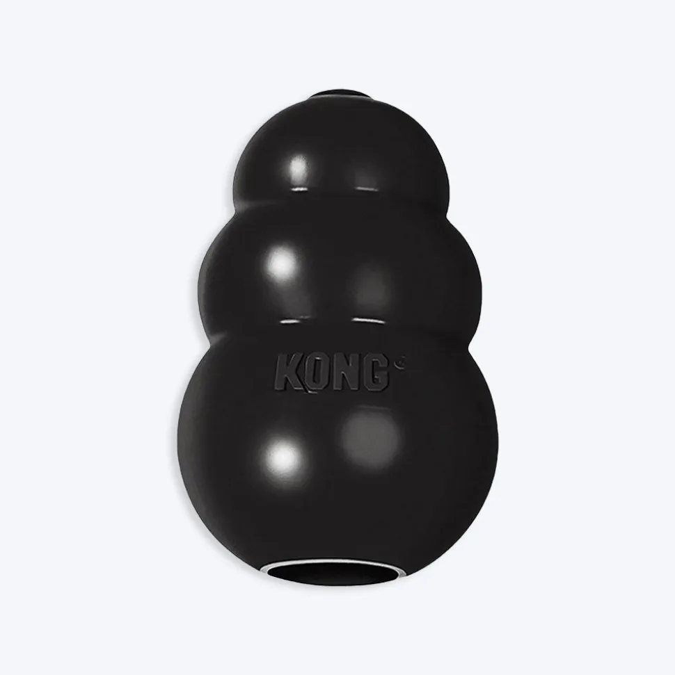 KONG Extreme Chew Interactive Dog Toy