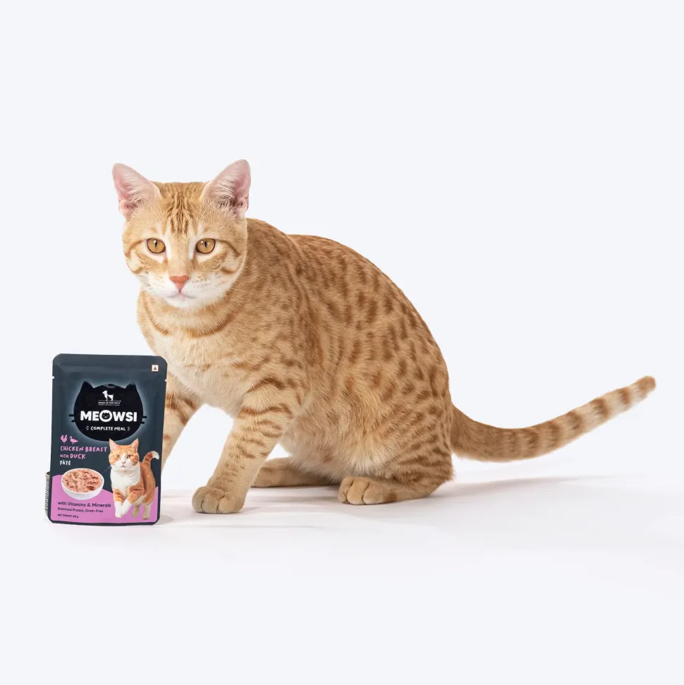 Meowsi Chicken Breast & Duck Pate Wet Cat Food 80g