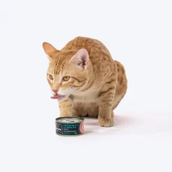 Meowsi Chicken Breast & Quail Egg Mousse Canned Cat Food 80g
