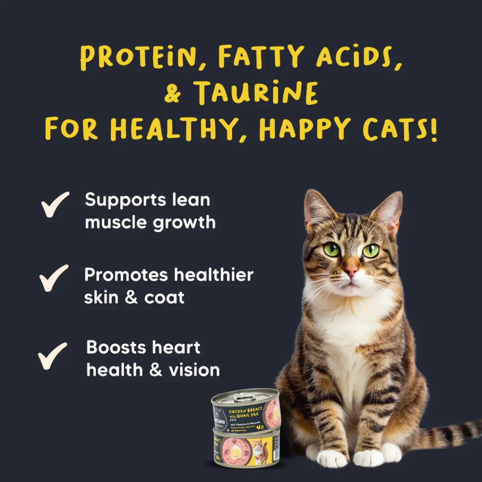 Meowsi Chicken Breast & Quail Egg Pate Wet Cat Food 80g