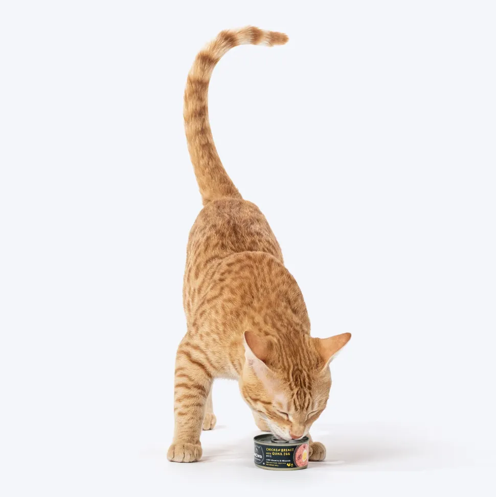 Meowsi Chicken Breast & Quail Egg Pate Wet Cat Food 80g