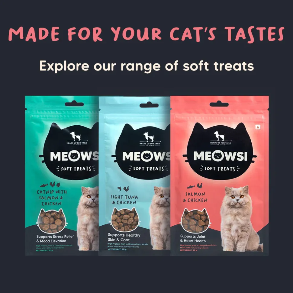 Meowsi Salmon & Chicken Soft Cat Treats High-Protein 50g