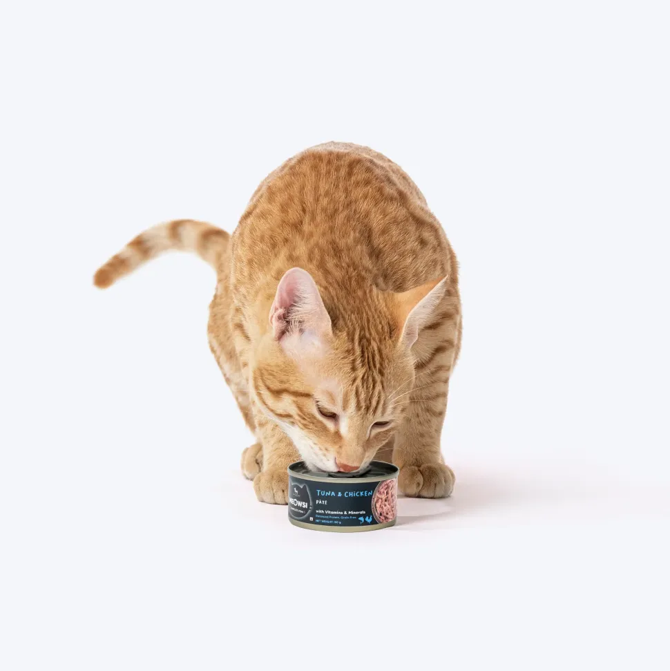 Meowsi Tuna & Chicken Pate Wet Cat Food Can 80g