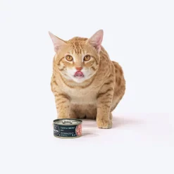 Meowsi Tuna & Shrimp Pâté Wet Cat Food Grain-Free 80g