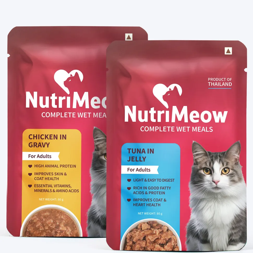 NutriMeow Adult Cat Food Trial Pack of 2 (80 gm each)