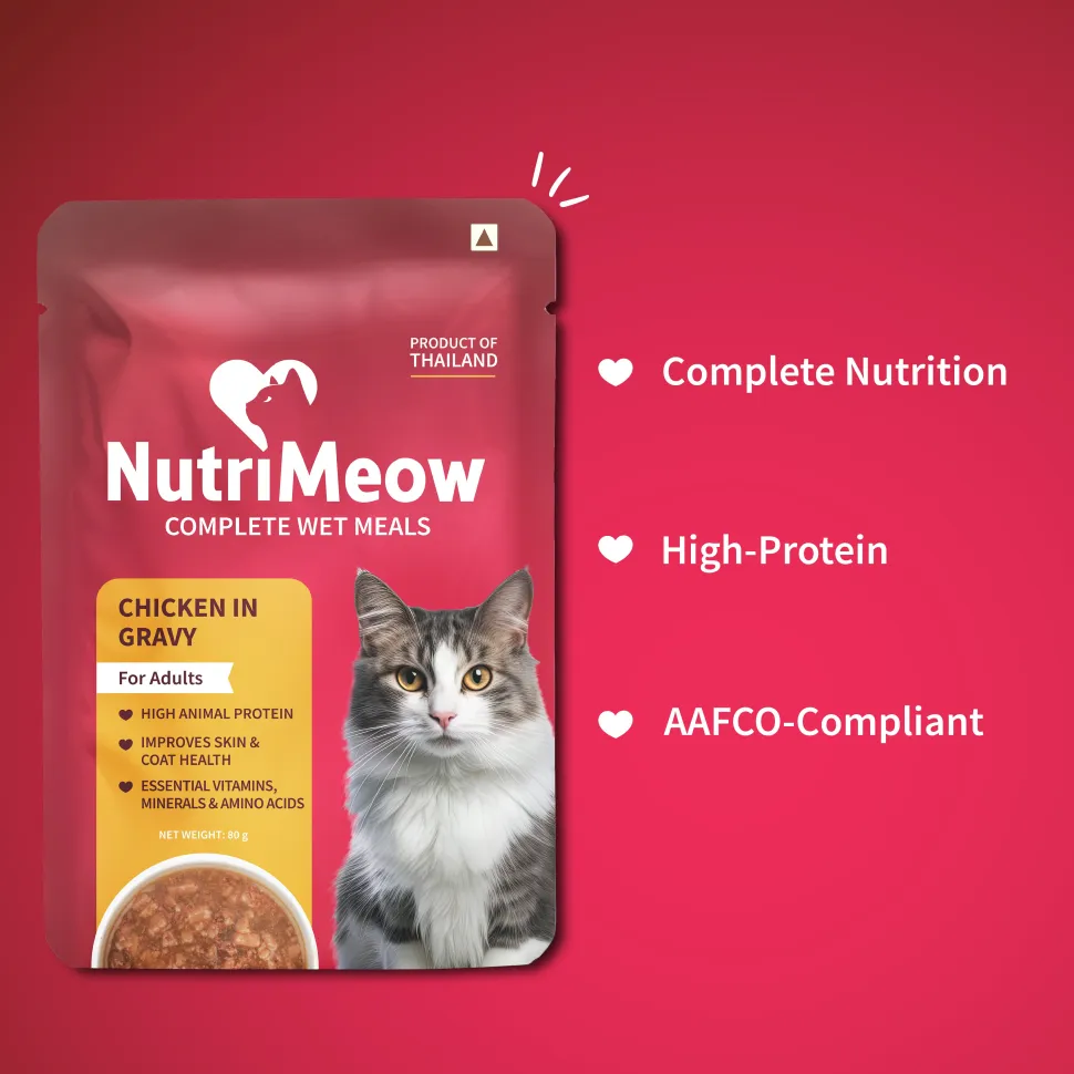 NutriMeow Adult Cat Food Trial Pack of 2 (80 gm each)
