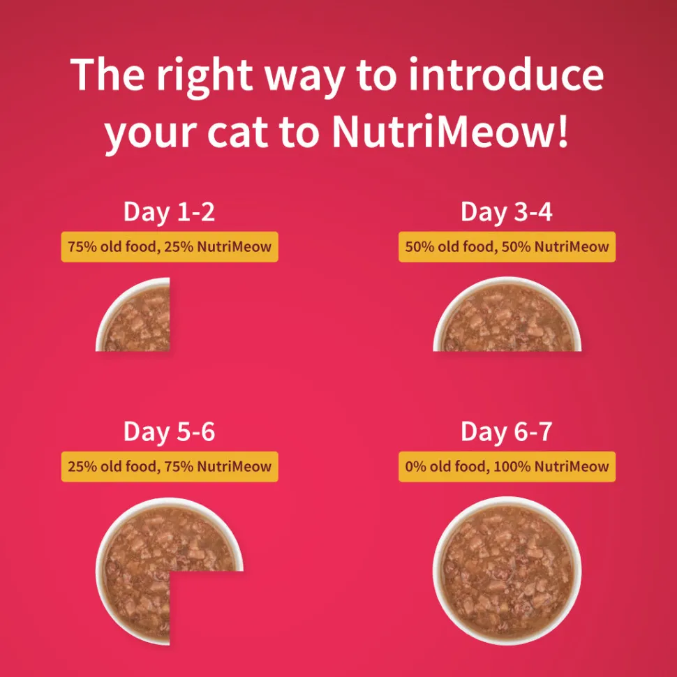 NutriMeow Adult Cat Food Trial Pack of 2 (80 gm each)