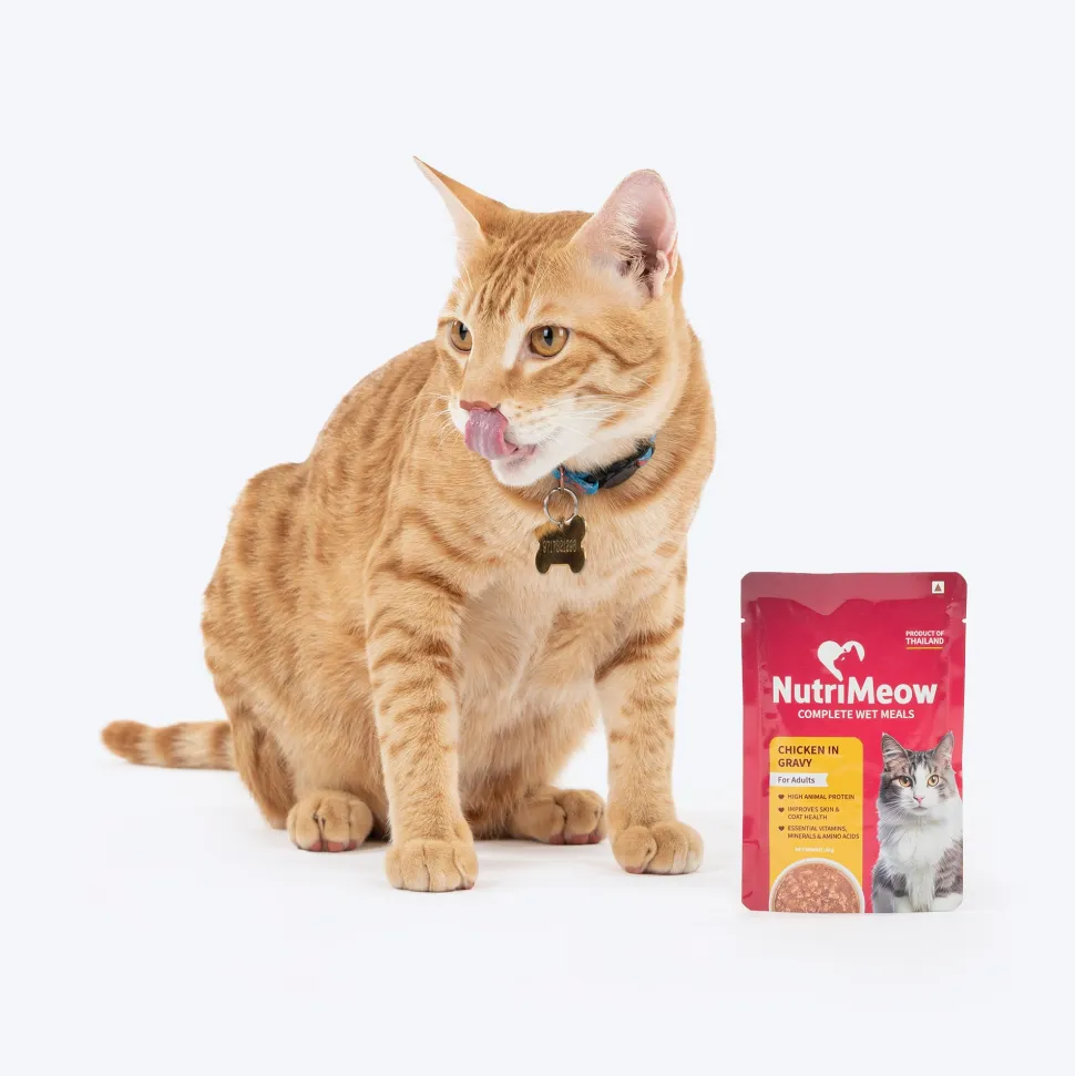 NutriMeow Adult Cat Food Trial Pack of 2 (80 gm each)
