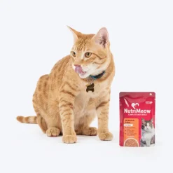 NutriMeow Adult Cat Food Trial Pack of 4 (80 gm each)