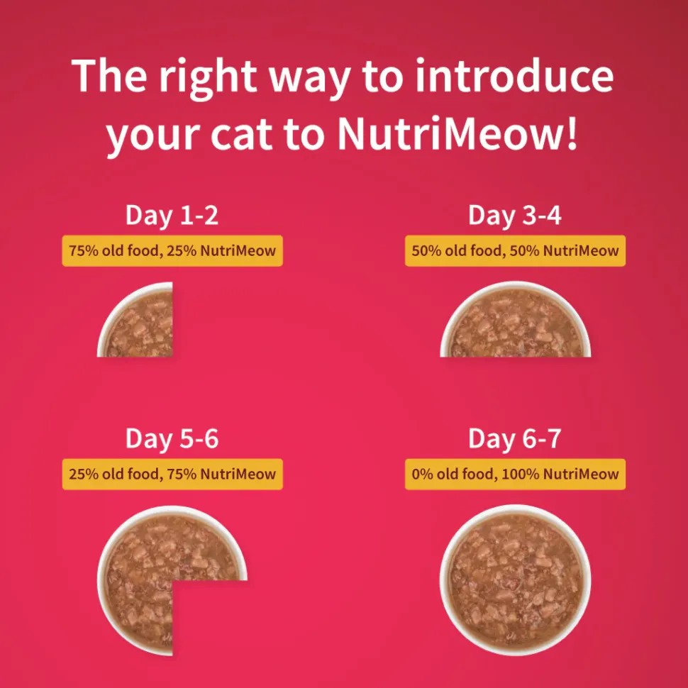 NutriMeow Adult Cat Food Trial Pack of 4 (80 gm each)