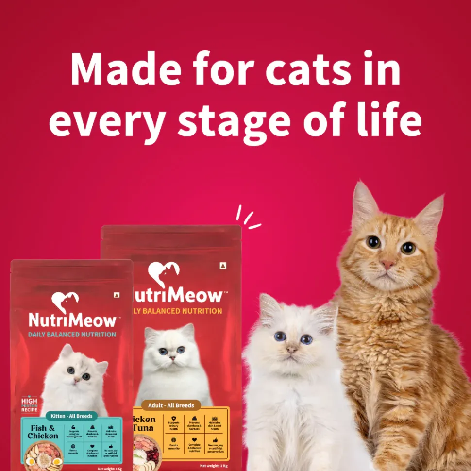 Nutrimeow Chicken & Tuna Dry Food For Adult Cat