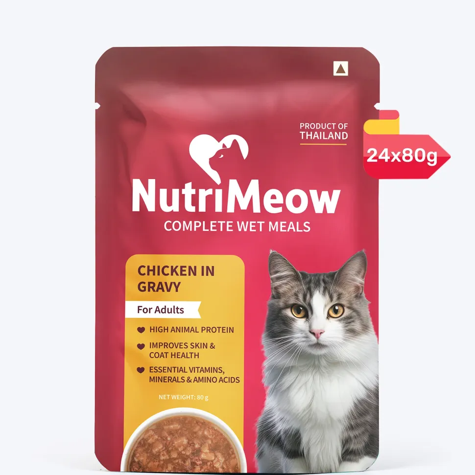 NutriMeow Chicken In Gravy Wet Food For Adult Cat - 80 gm