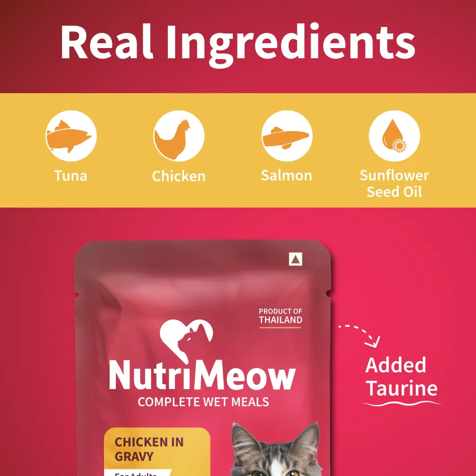 NutriMeow Chicken In Gravy Wet Food For Adult Cat - 80 gm
