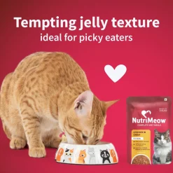 NutriMeow Chicken In Gravy Wet Food For Adult Cat - 80 gm