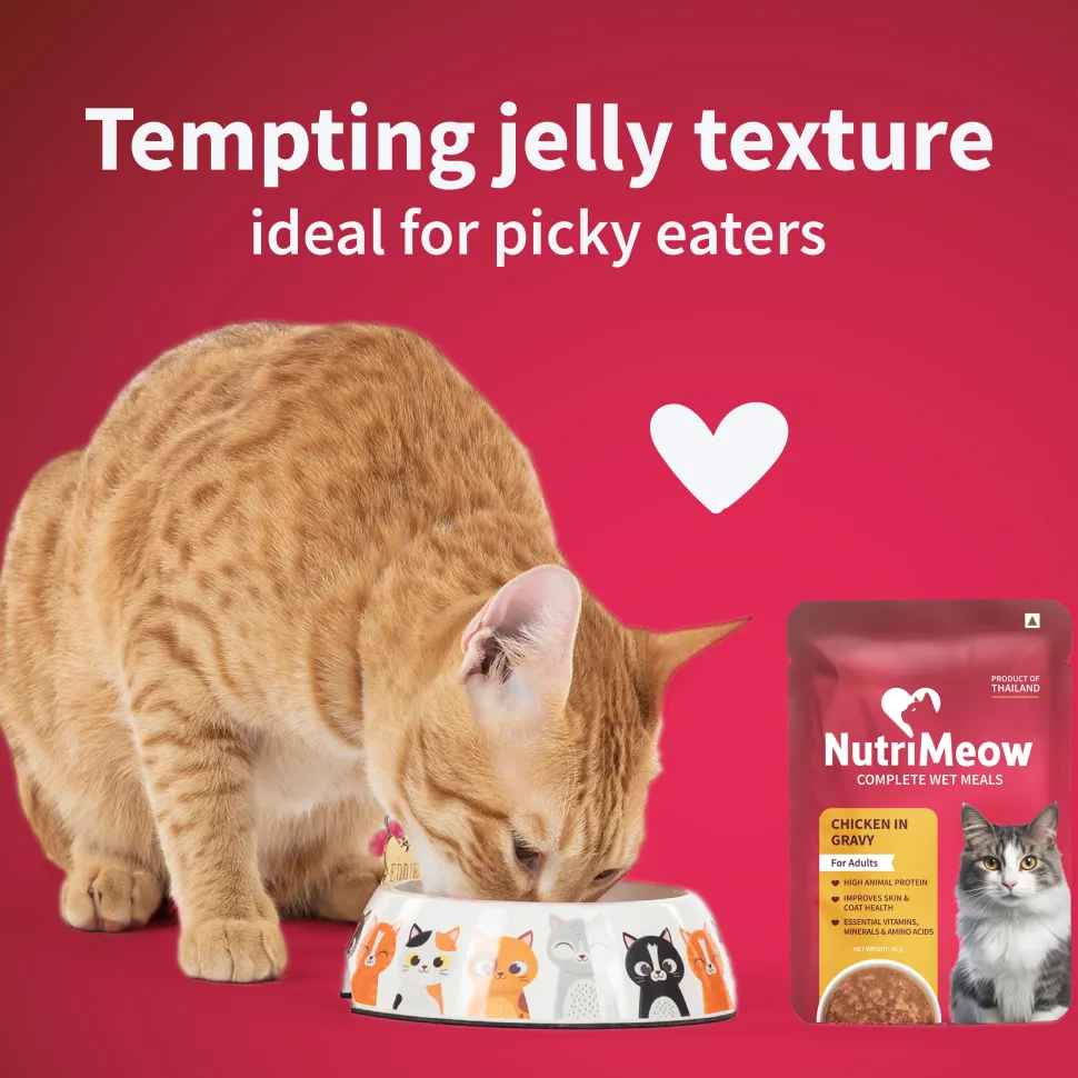 NutriMeow Chicken In Gravy Wet Food For Adult Cat - 80 gm