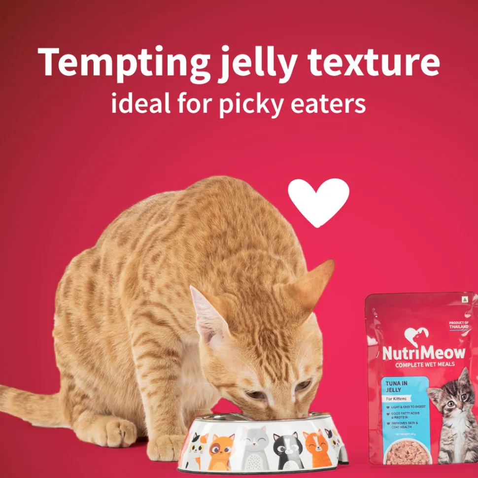 NutriMeow Kitten Food Trial Pack of 2 (80 gm each)